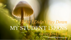 I didn't pay down my student loans during grad school